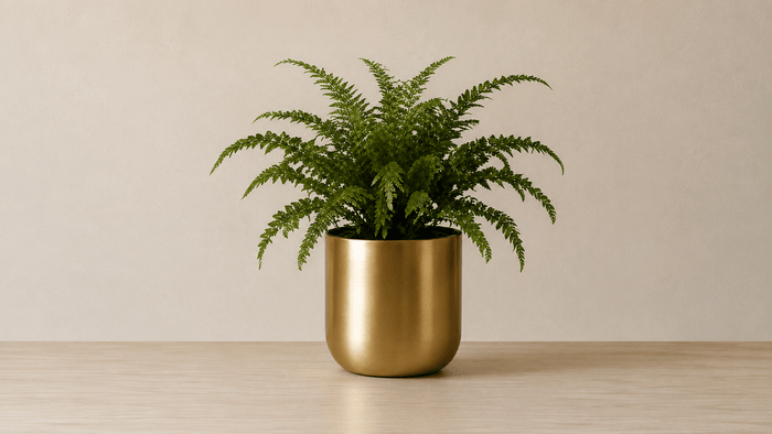 Artificial Plants & Planters