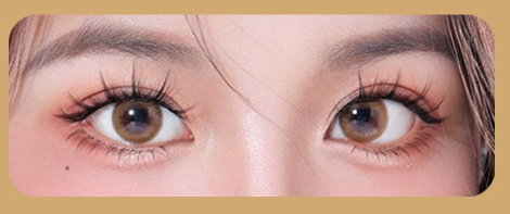 Beauty Magnetic Lashes